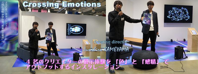Crossing Emotions（Emotions Unveiled）